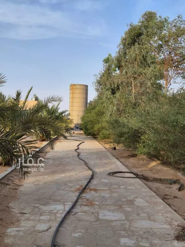مزرعة للبيع في حي العليا, مدينة الجلة, منطقة الرياض صورة 3