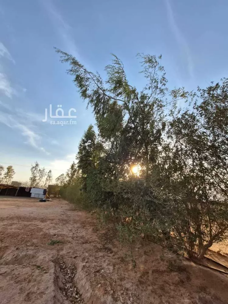 مزرعة للبيع في حي العليا, مدينة الجلة, منطقة الرياض 15