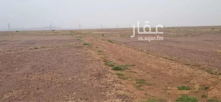 Land for Sale in AlShinana Al Aziziyah 7