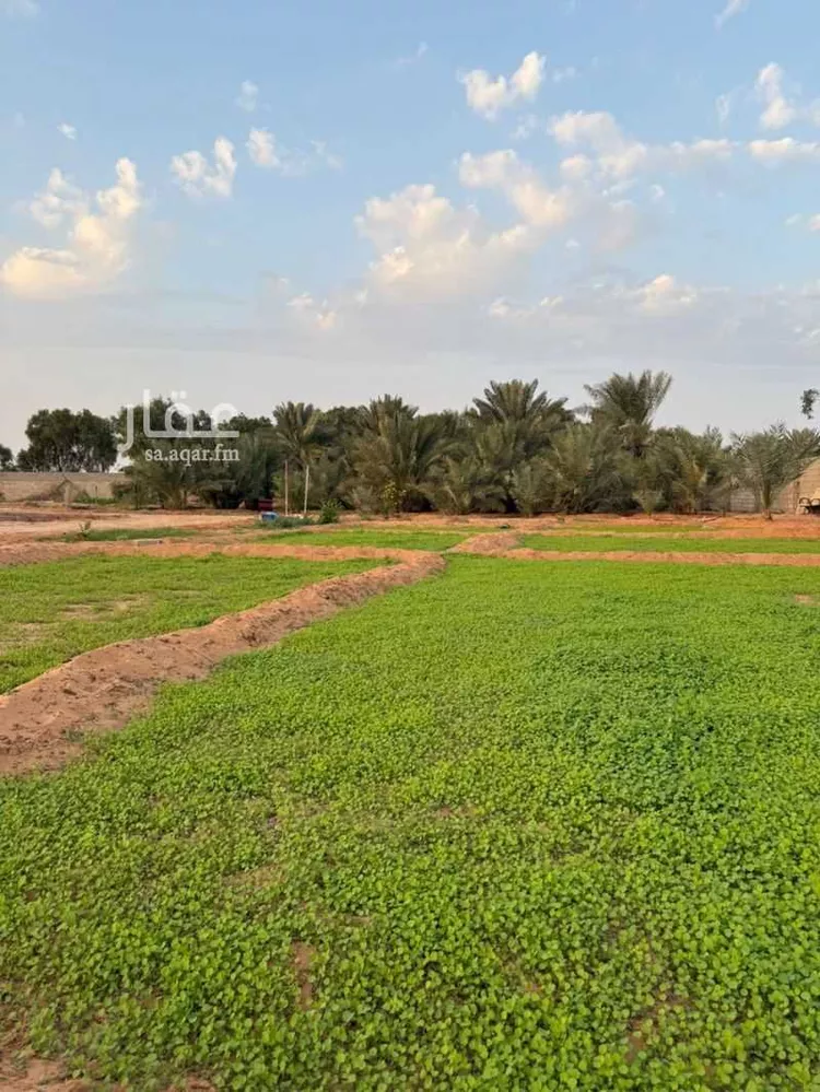 أرض للبيع في شارع البدائع 825, مدينة البدائع, منطقة الرياض صورة 5