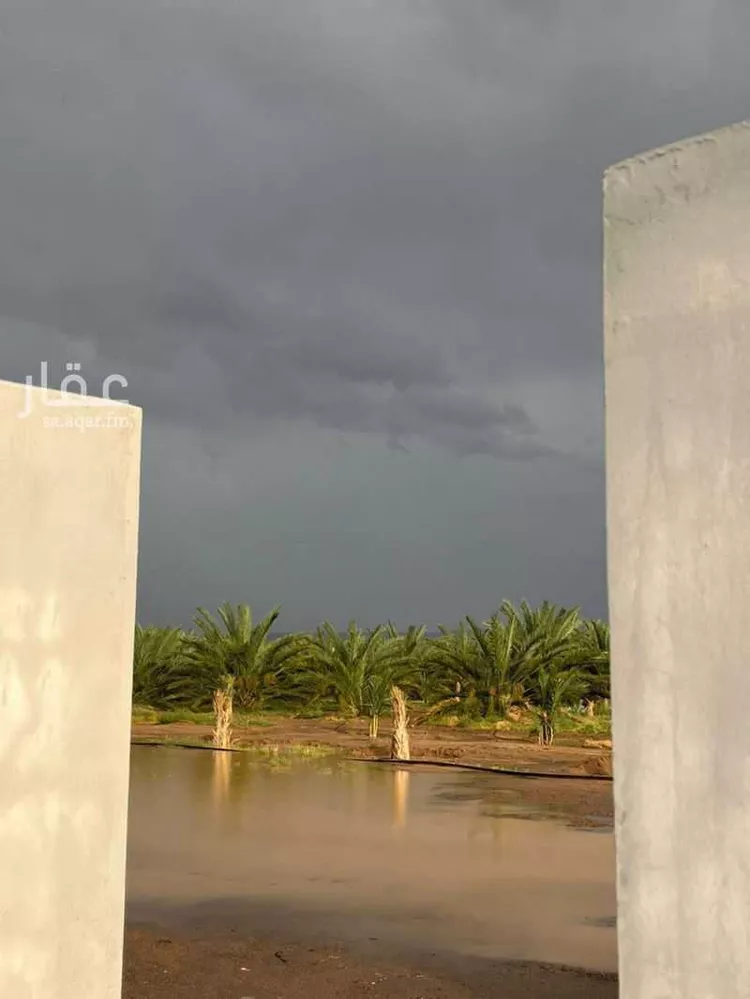 أرض للبيع في شارع المندسة 740, حي المندسة, مدينة المدينة المنورة, منطقة المدينة المنورة