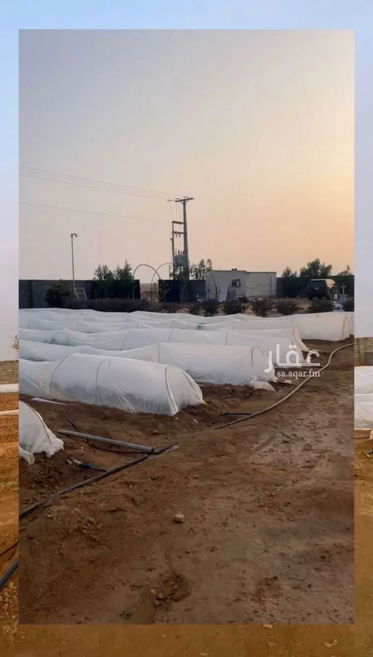 مزرعة للبيع في مدينة الجلة, منطقة الرياض صورة 5