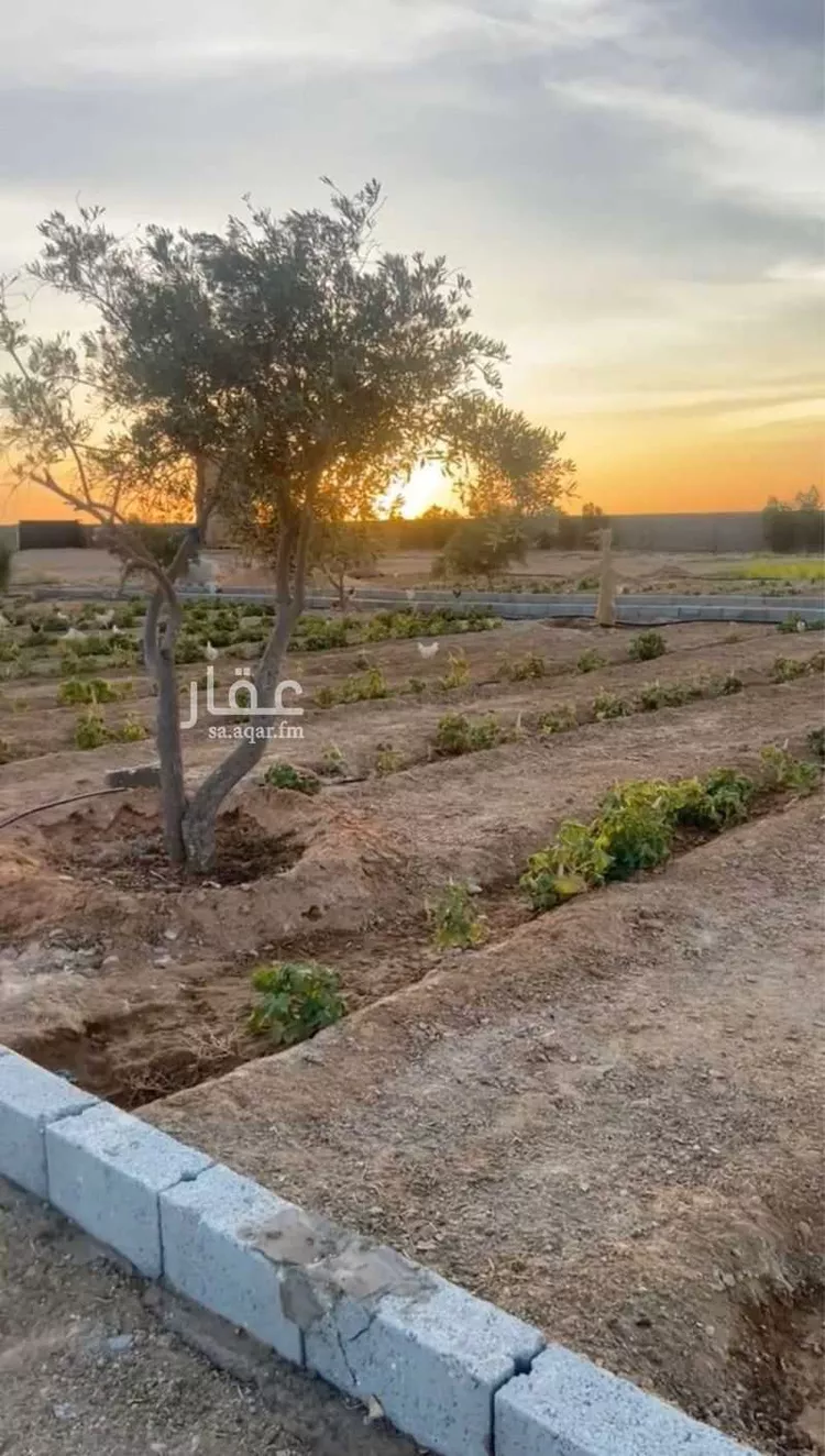 مزرعة للبيع في مدينة الجلة, منطقة الرياض صورة 4