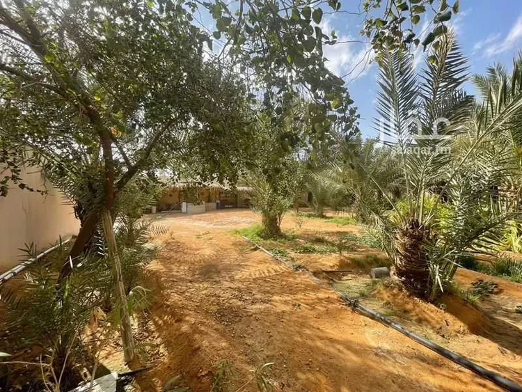 استراحة للبيع في شارع ابو امامة الباهلي, مدينة قريه ديراب, منطقة الرياض صورة 4