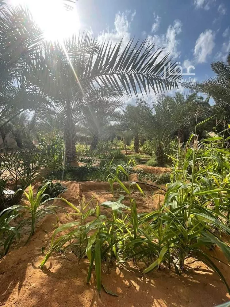 استراحة للبيع في شارع ابو امامة الباهلي, مدينة قريه ديراب, منطقة الرياض