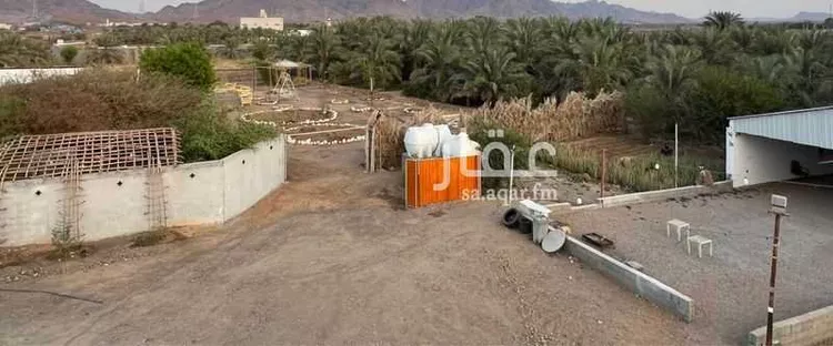 مزرعة للبيع في حي وادي البطان, مدينة المدينة المنورة, منطقة المدينة المنورة