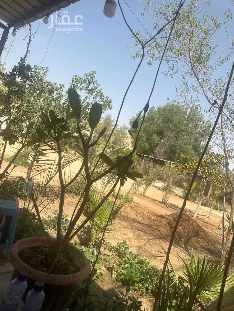 استراحة للبيع في شارع قصور ال مقبل 14 ، حي القرينية ، البديعة ، ضرما
