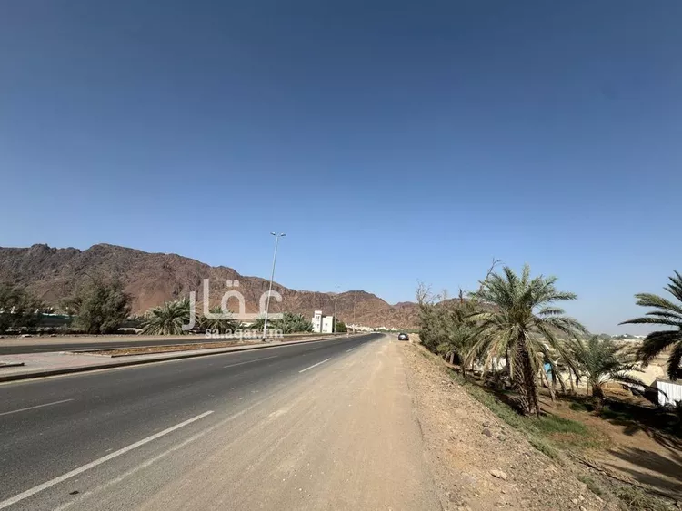 أرض للإيجار في شارع عبد الله بن انيس, حي العيون, مدينة المدينه المنوره, منطقة المدينة المنورة صورة 5