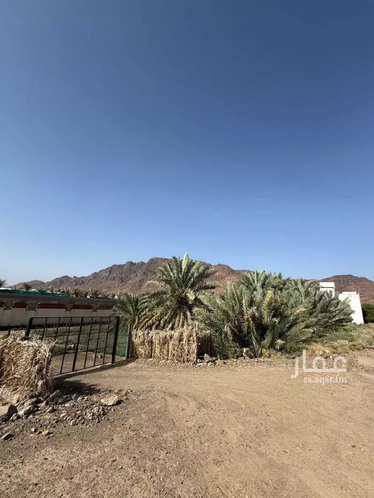 Station for sale in Medina Al Uyun صورة 4