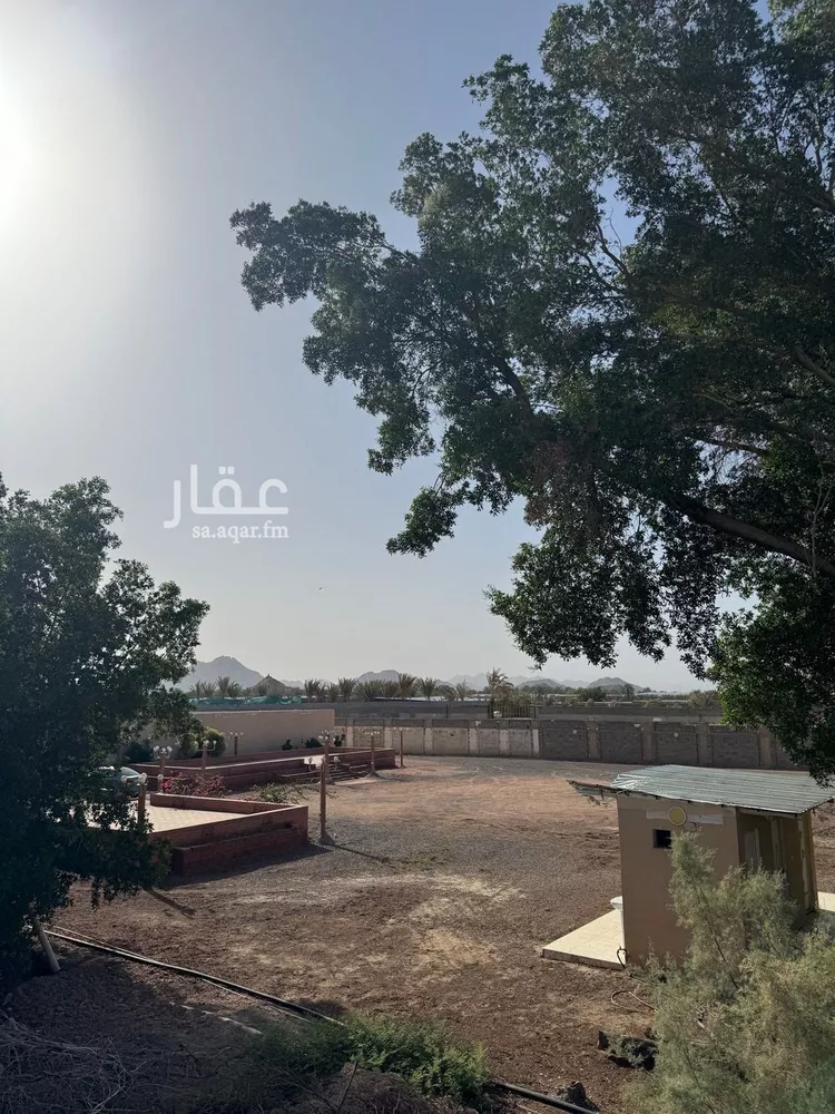 أرض للإيجار في شارع عبد الله بن انيس, حي العيون, مدينة المدينه المنوره, منطقة المدينة المنورة