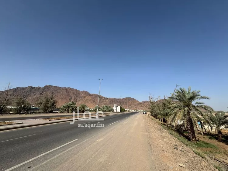 مزرعة للبيع في شارع عثمان بن عفان , حي العيون, مدينة المدينه المنوره, منطقة المدينة المنورة صورة 5