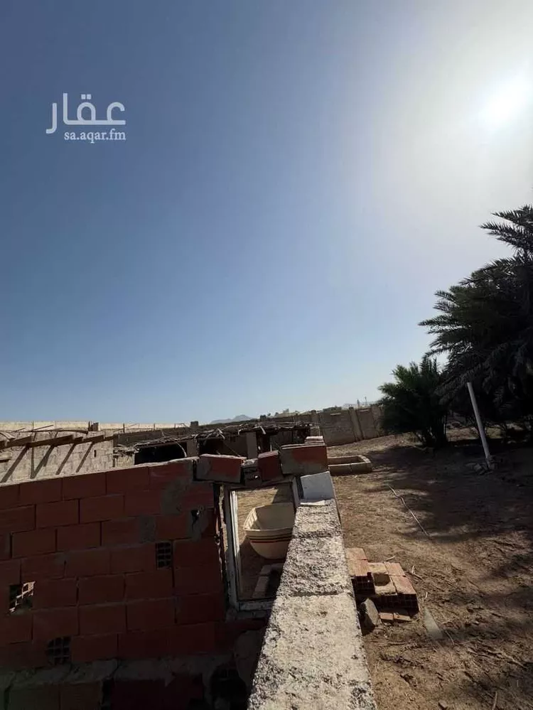 مزرعة للبيع في شارع عبد الله بن انيس, حي العيون, مدينة المدينه المنوره, منطقة المدينة المنورة صورة 4