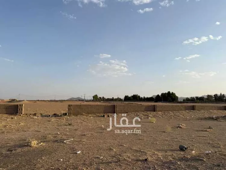 أرض للبيع في شارع طريق رنية - وادي الدواسر, حي الدارالبيضاء, مدينة رنية, منطقة مكة المكرمة صورة 2