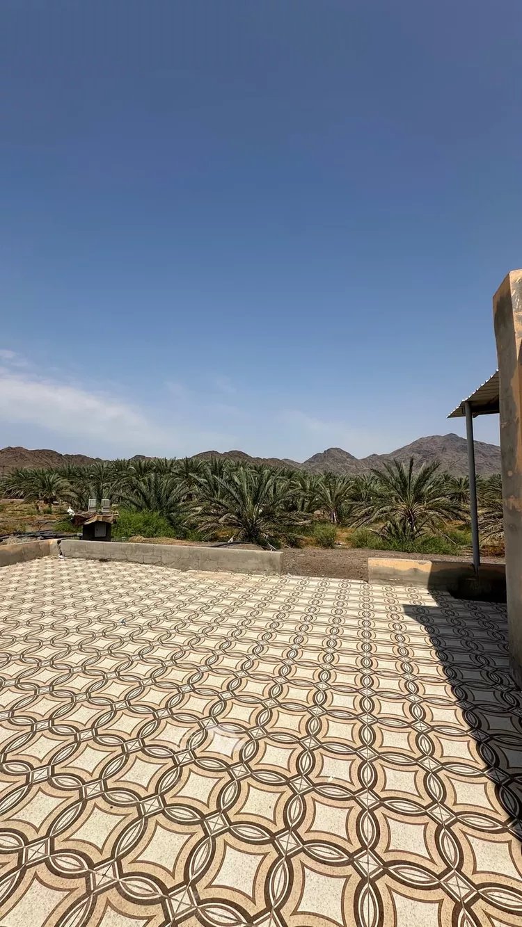 مزرعة للبيع في شارع عز الدين الداري, حي وادي الحمض, مدينة المدينة المنورة, منطقة المدينة المنورة 6