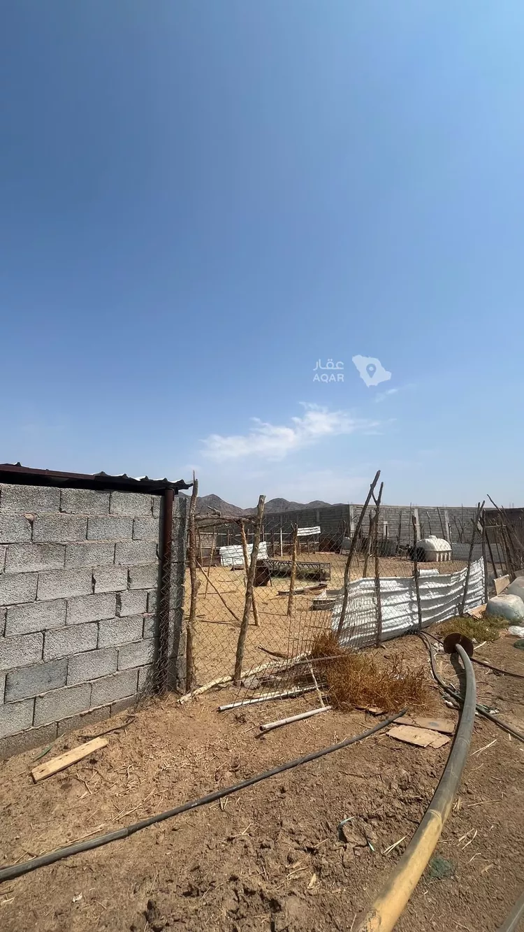 مزرعة للبيع في شارع عز الدين الداري, حي وادي الحمض, مدينة المدينة المنورة, منطقة المدينة المنورة 7