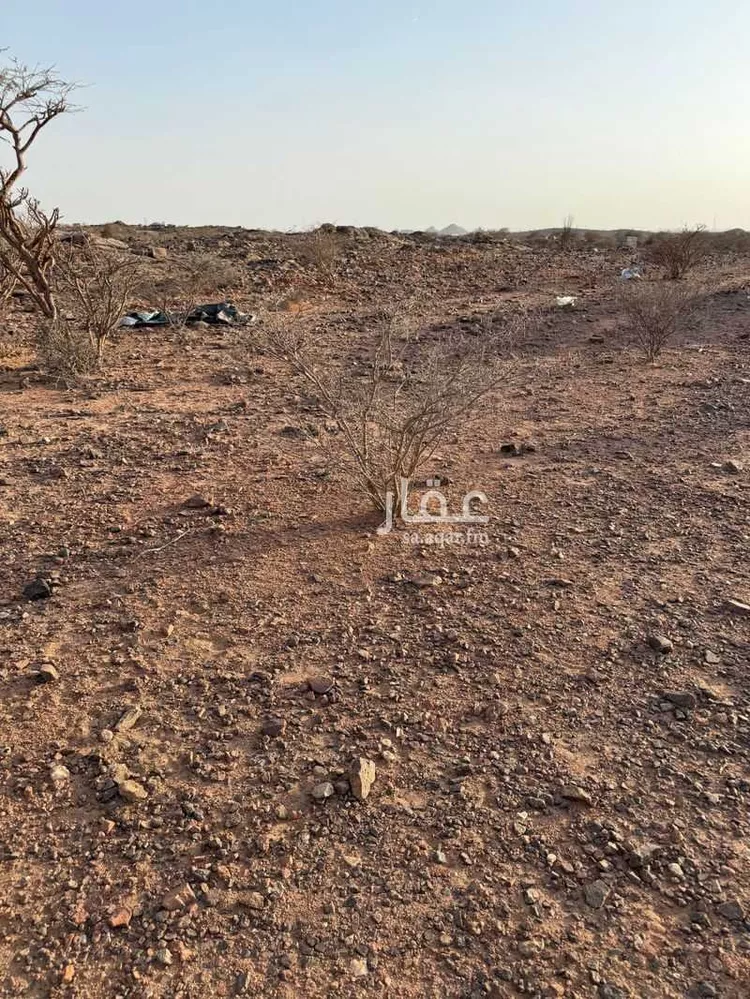 Land for Sale in Taif Jubrah صورة 4
