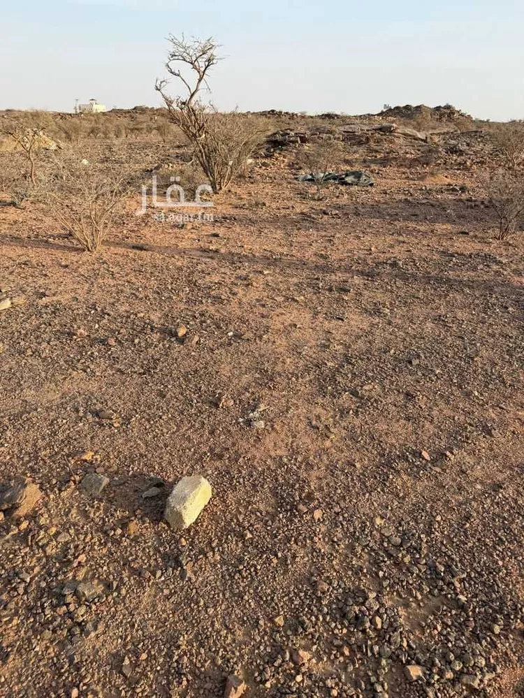 Land for Sale in Taif Jubrah صورة 2