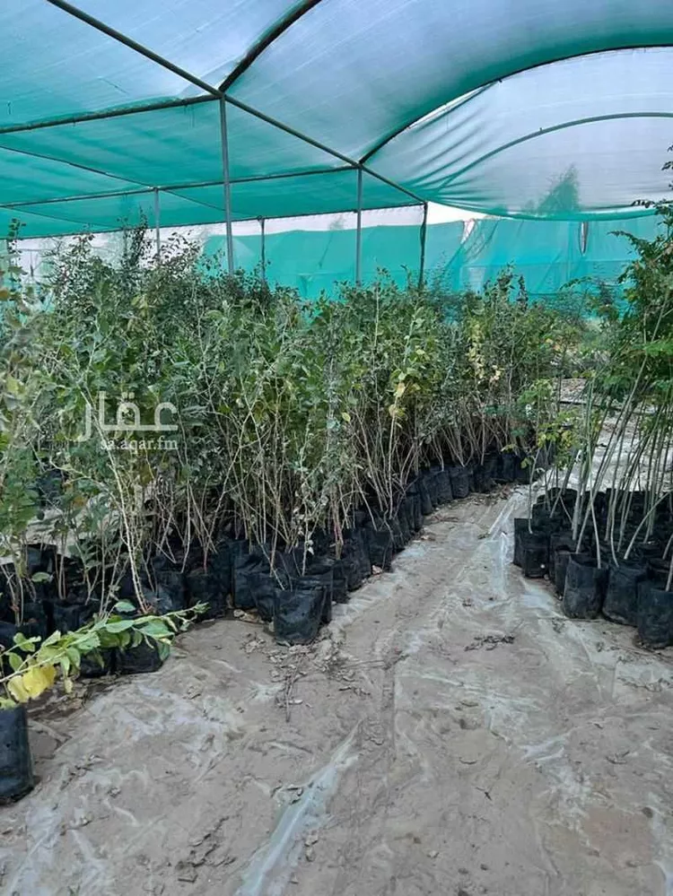 مزرعة للبيع في حي الضبيعة, مدينة الخرج, منطقة الرياض 15