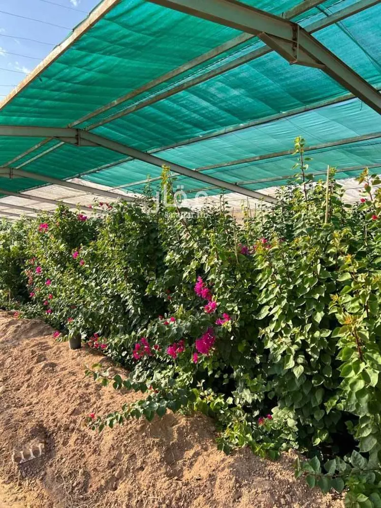 مزرعة للبيع في حي الضبيعة, مدينة الخرج, منطقة الرياض 6