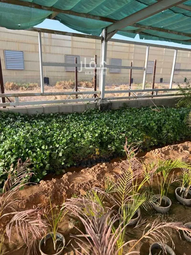 مزرعة للبيع في حي الضبيعة, مدينة الخرج, منطقة الرياض 8