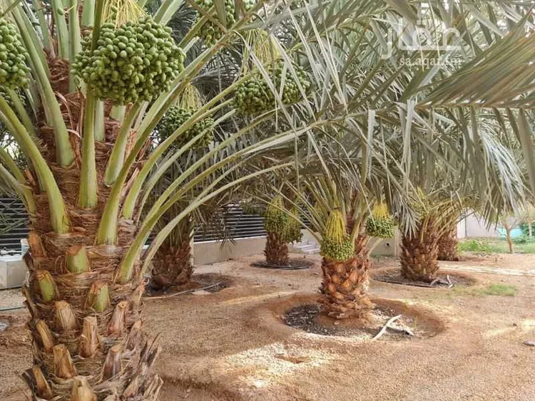 استراحة للبيع في حي الحزم والبطينه, مدينة الحزم والبطينه, منطقة الرياض 7