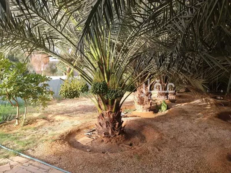 استراحة للبيع في حي الحزم والبطينه, مدينة الحزم والبطينه, منطقة الرياض 23