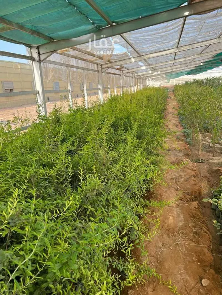 مزرعة للبيع في حي الضبيعة, مدينة الخرج, منطقة الرياض 7