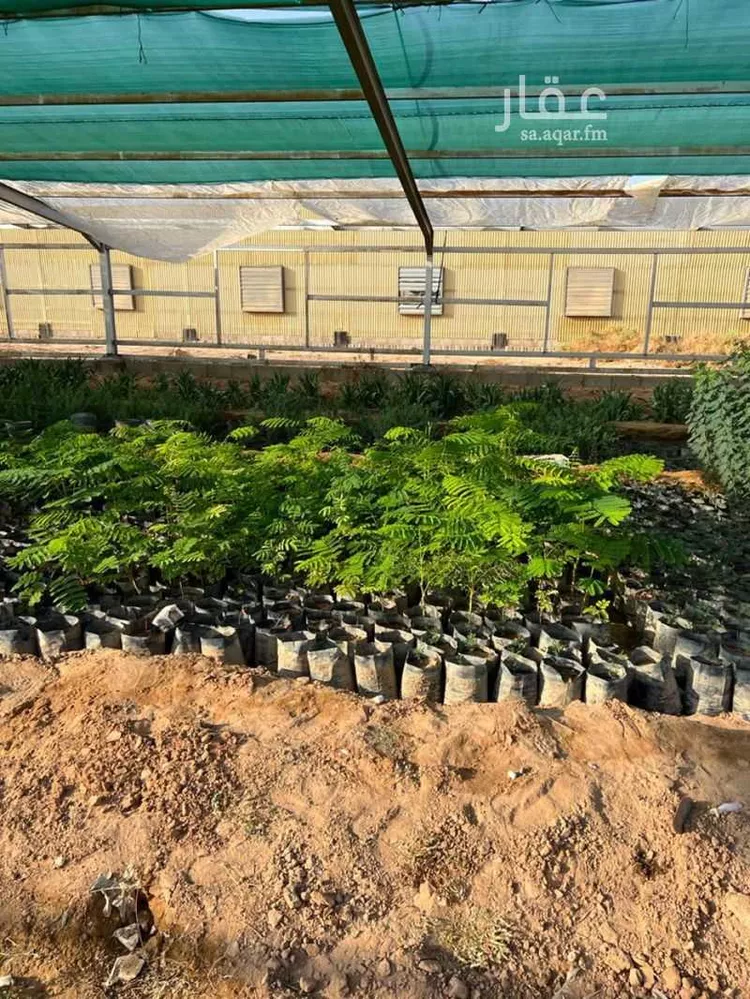 مزرعة للبيع في حي الضبيعة, مدينة الخرج, منطقة الرياض 14