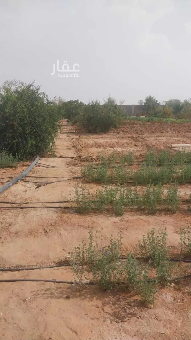 مزرعة للبيع في حي الحزم والبطينه, مدينة الحزم والبطينه, منطقة الرياض صورة 5