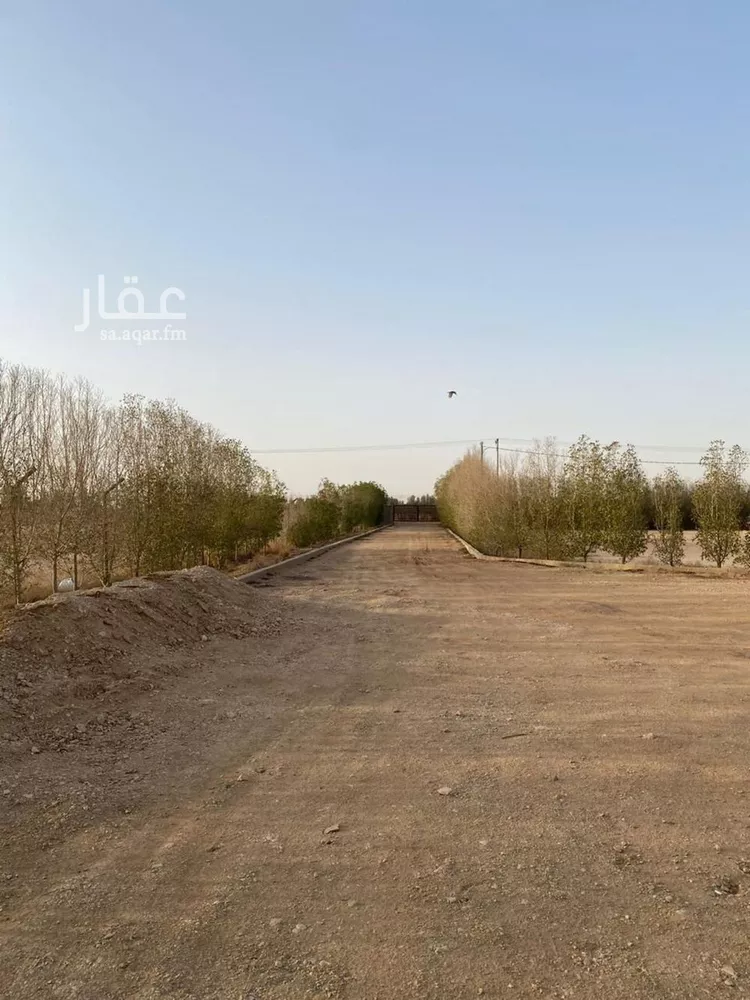أرض للبيع في شارع ضرما 1103, حي المروج, مدينة ضرما, منطقة الرياض صورة 2