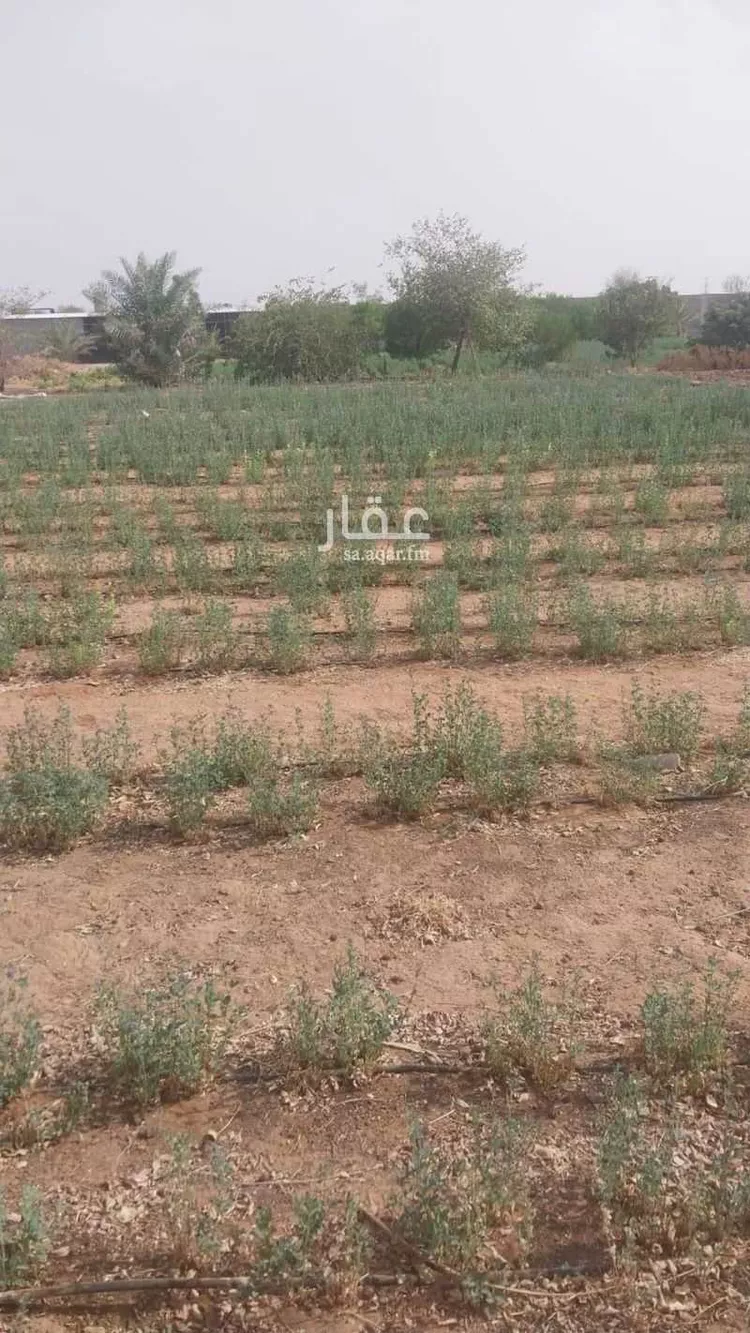 مزرعة للبيع في حي الحزم والبطينه, مدينة الحزم والبطينه, منطقة الرياض صورة 4