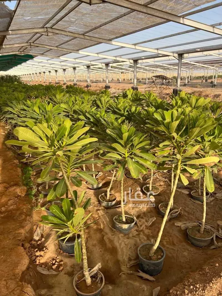 مزرعة للبيع في حي الضبيعة, مدينة الخرج, منطقة الرياض