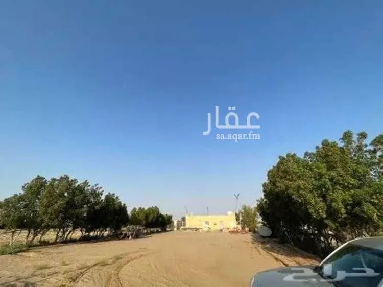 مزرعة للبيع في شارع سمية بنت خياط ، قاع الشقيق ، الدرب صورة 4