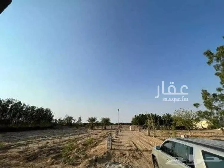 مزرعة للبيع في شارع سمية بنت خياط ، قاع الشقيق ، الدرب صورة 5