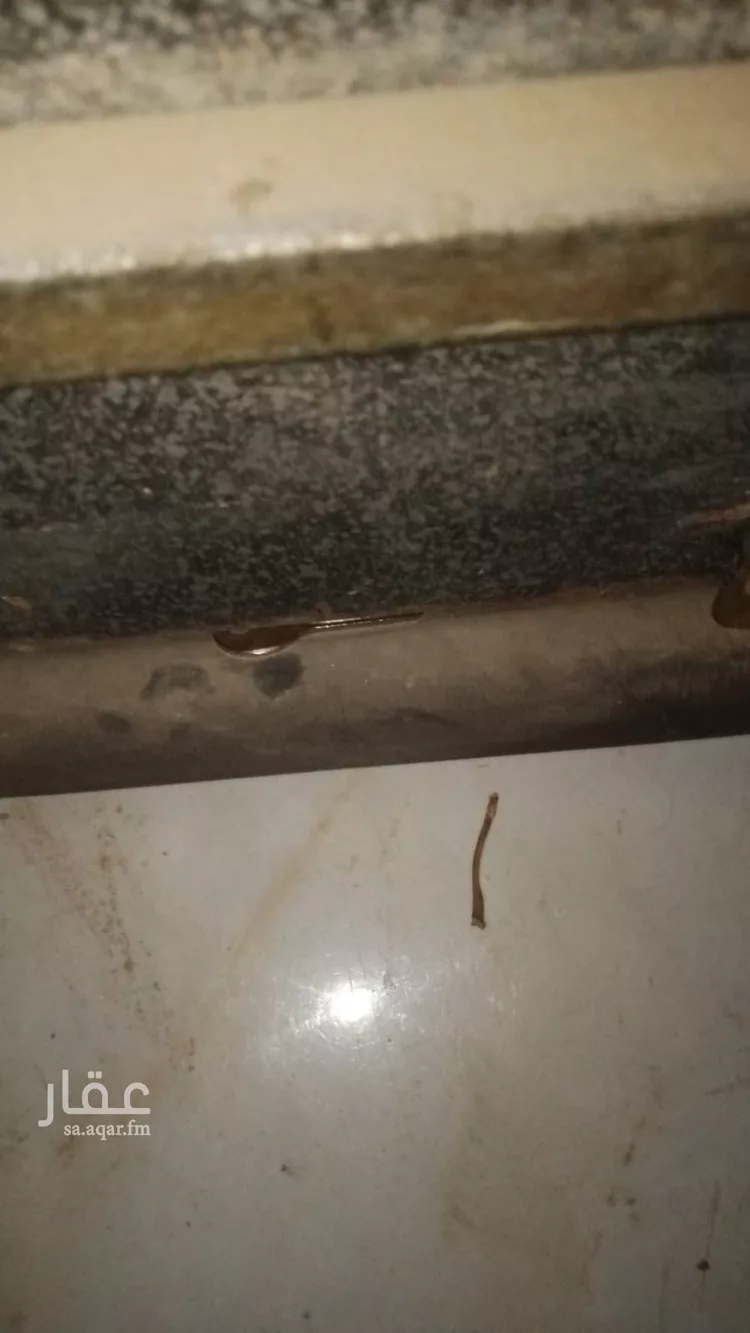 شقة للإيجار في شارع ابن الزبير الغرناطي, حي الرمال, مدينة الرياض, منطقة الرياض صورة 2