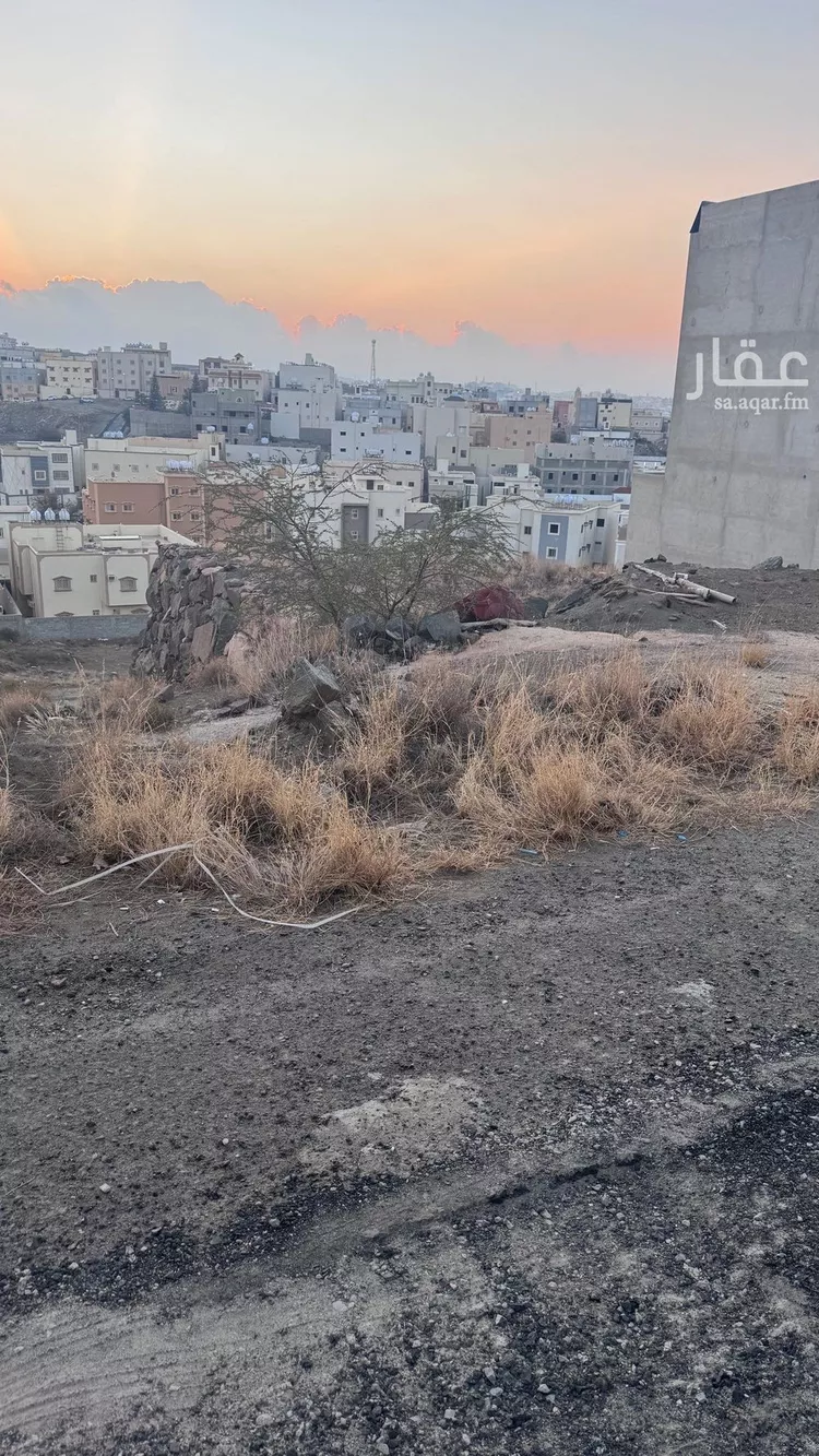 أرض للبيع في شارع 119 الروضة, حي الروضة, مدينة أبها, منطقة عسير