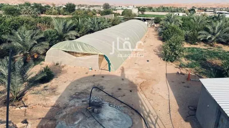 أرض للإيجار في شارع هجرة الاوسط 2559, مدينة هجرة الاوسط, منطقة الرياض صورة 4
