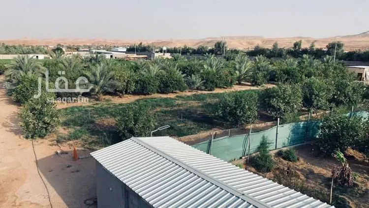 أرض للإيجار في شارع هجرة الاوسط 2559, مدينة هجرة الاوسط, منطقة الرياض صورة 5
