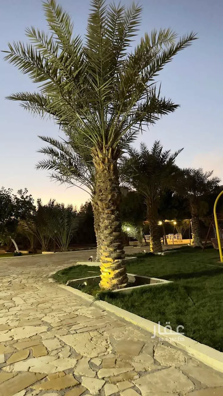 مزرعة للبيع في شارع قريه ديراب 755, حي قريه ديراب, مدينة قريه ديراب, منطقة الرياض 7