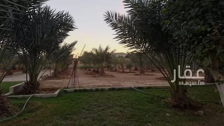 مزرعة للبيع في شارع ثعلبة ابن سعد الخزرجي ، البديعة ، ضرما صورة 4