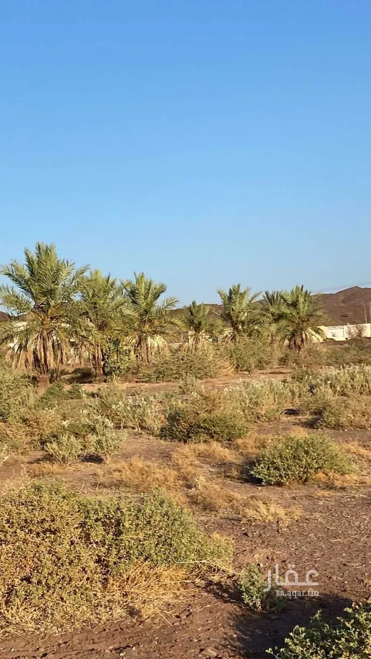 Farm for Sale in Rabigh Rabigh صورة 2