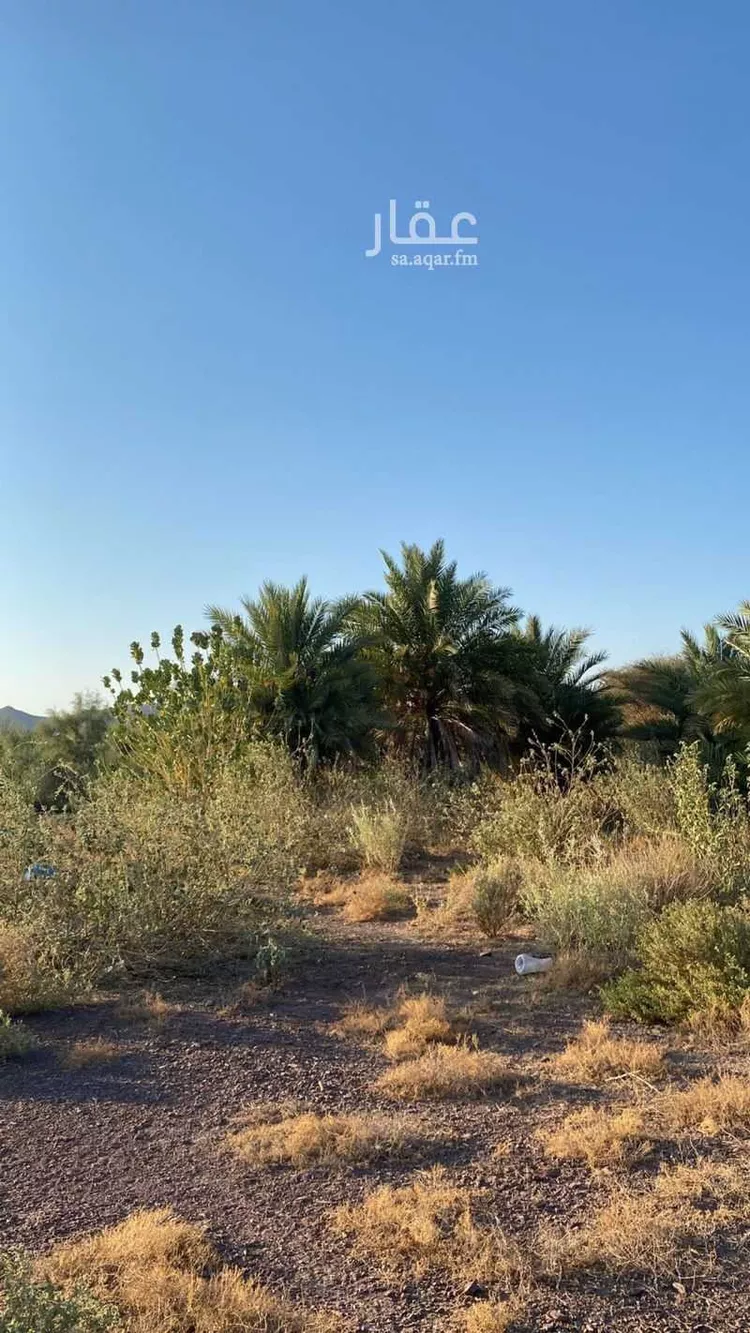 Farm for Sale in Rabigh Rabigh صورة 3