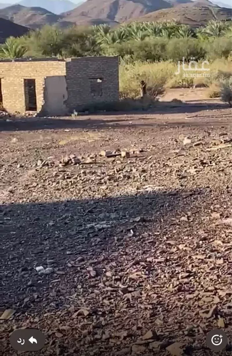 Farm for Sale in Rabigh Rabigh