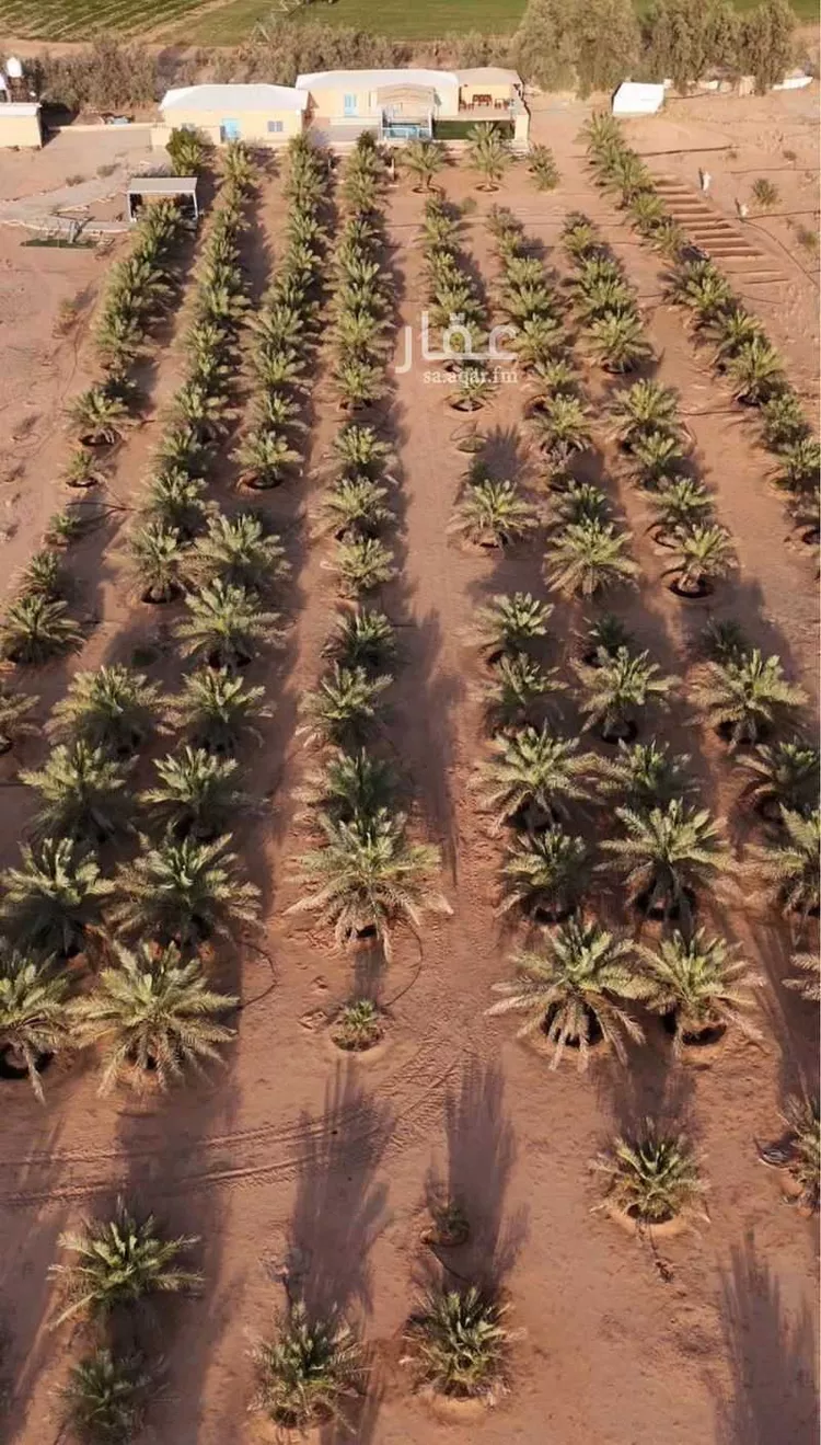 مزرعة للبيع في شارع الغماس 92, مدينة الغماس, منطقة القصيم صورة 3