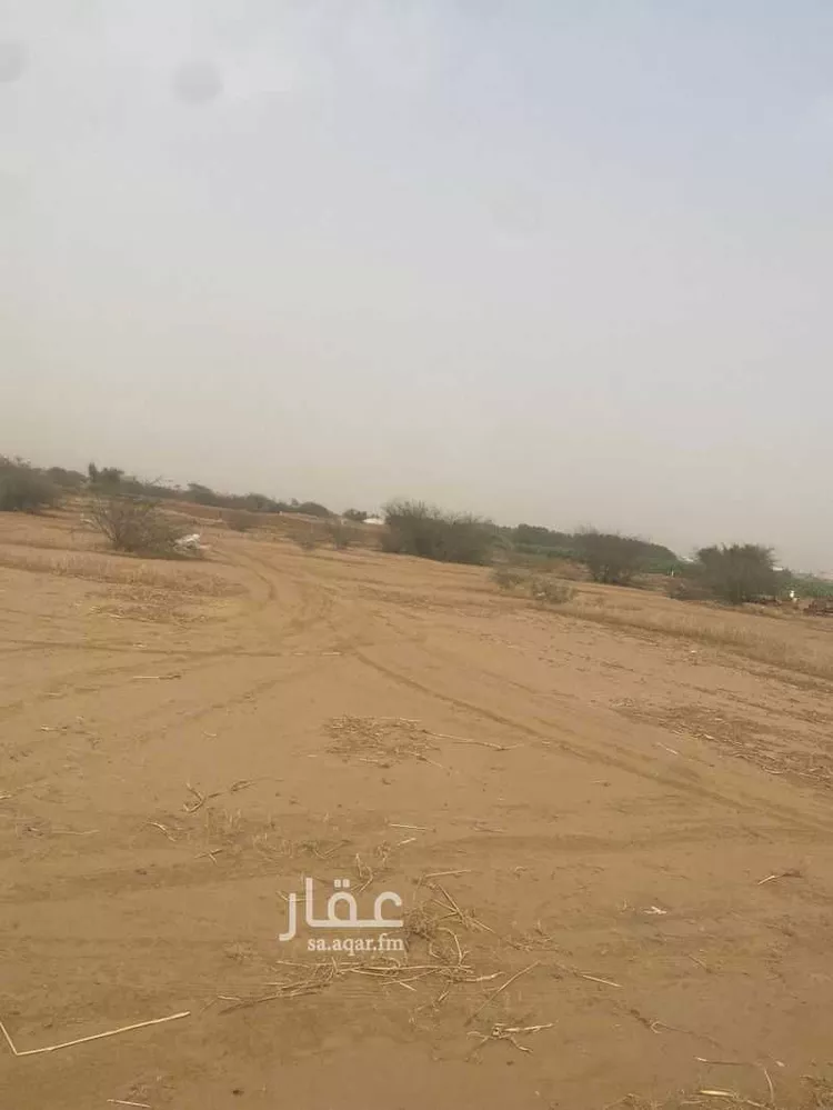 أرض للإيجار في شارع الشابطه, العروس