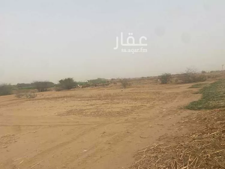 أرض للإيجار في شارع الشابطه, العروس صورة 2