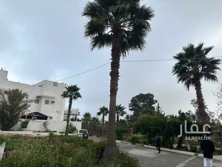 شقة للإيجار في شارع الهدا 110 ، حي الهدا ، الطائف ، الطائف صورة 4