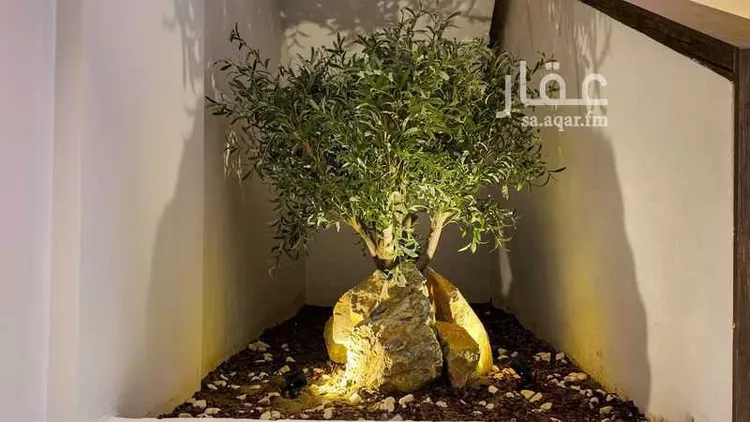 Floor for Rent in Jeddah Ar Rawdah صورة 5