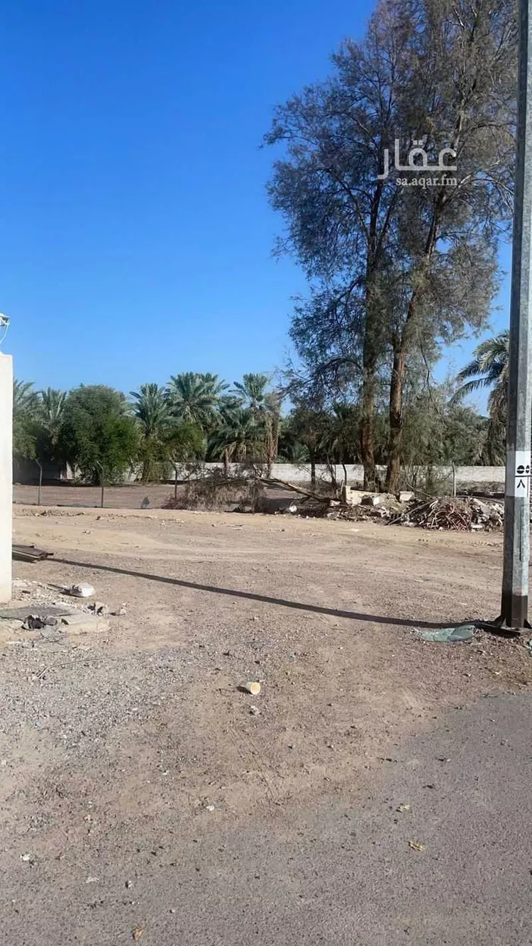 أرض للبيع في شارع صفوان بن قدامه التميمي, حي العيون, مدينة المدينة المنورة, منطقة المدينة المنورة
