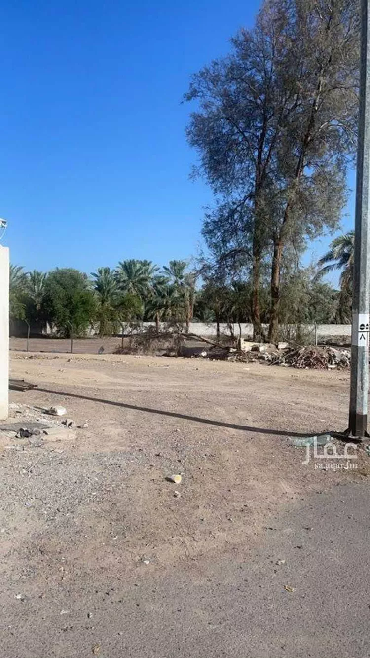 أرض للبيع في شارع صفوان بن قدامه التميمي, حي العيون, مدينة المدينه المنوره, منطقة المدينة المنورة صورة 2
